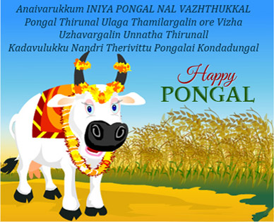 pongal greetings