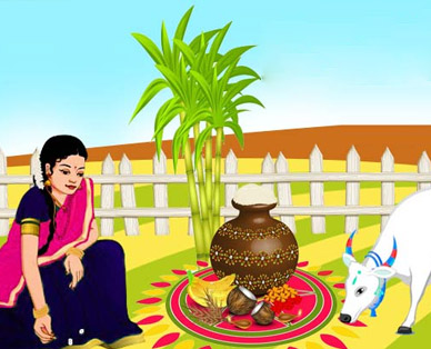 pongal festival wallpaper